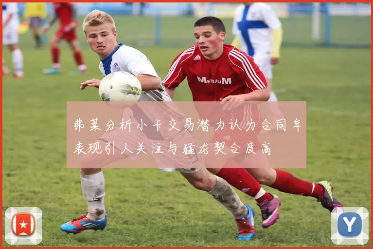 弗莱分析小卡交易潜力认为合同年表现引人关注与猛龙契合度高